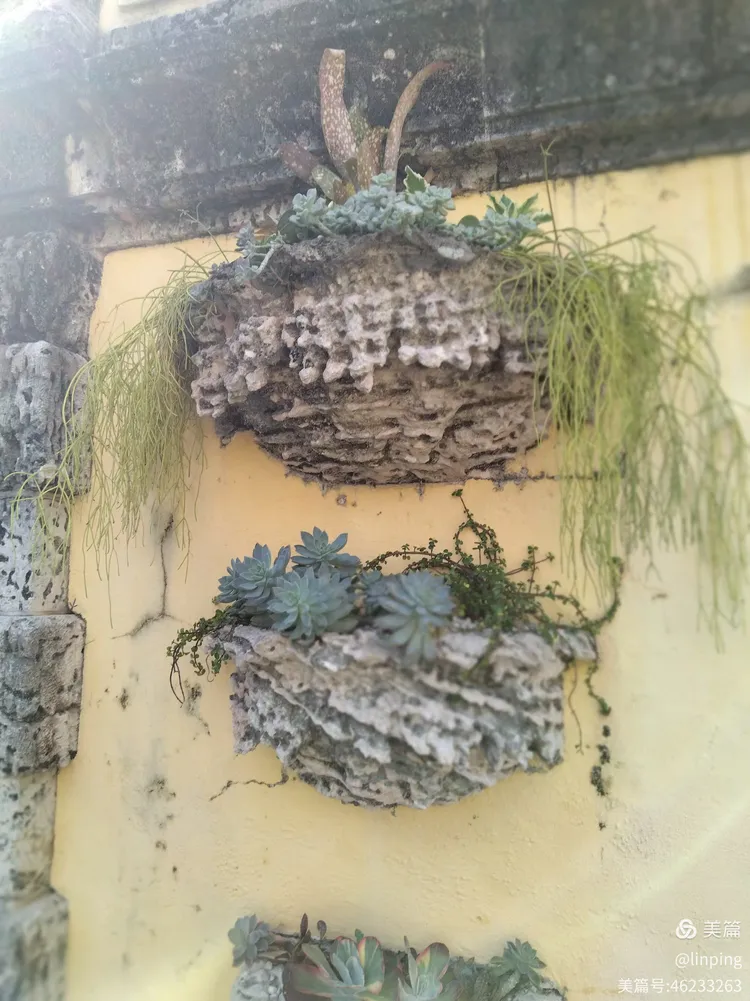 迈阿密风情和基韦斯特(key west)海明威故居